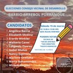 LLAMADO A VOTAR Y 10 CANDIDATOS