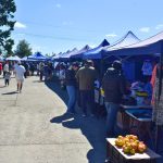 purranque_feria_008